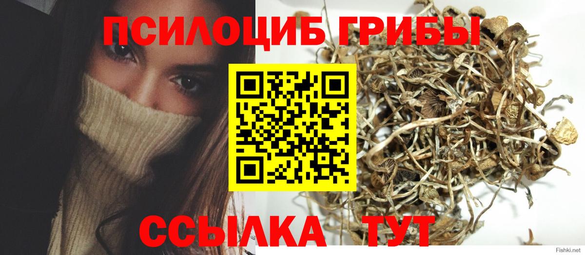 Галлюциногенные грибы мицелий  Галлюциногенные грибы MAGIC MUSHROOMS  Вход с VPN  Бутурлиновка 