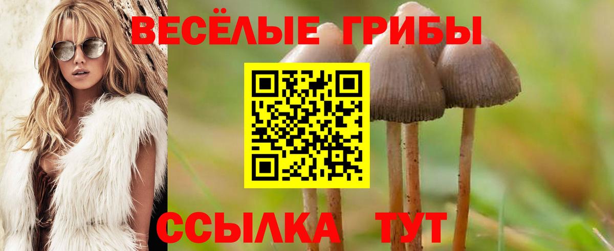 Галлюциногенные грибы Magic Shrooms Бутурлиновка